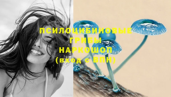 герыч Надым