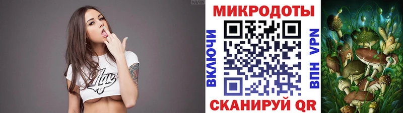 Псилоцибиновые грибы Cubensis Новоульяновск